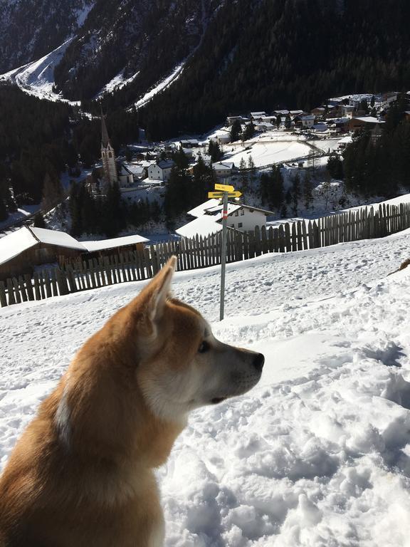 Pension Alpenrose Sankt Sigmund im Sellrain Luaran gambar