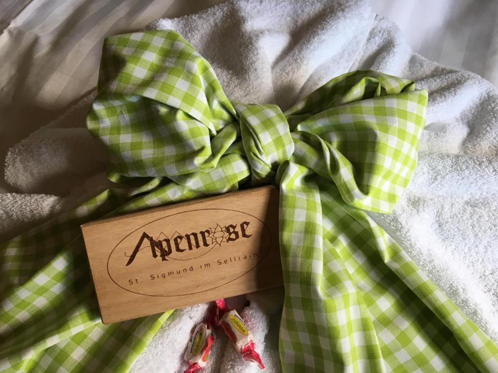 Pension Alpenrose Sankt Sigmund im Sellrain Luaran gambar