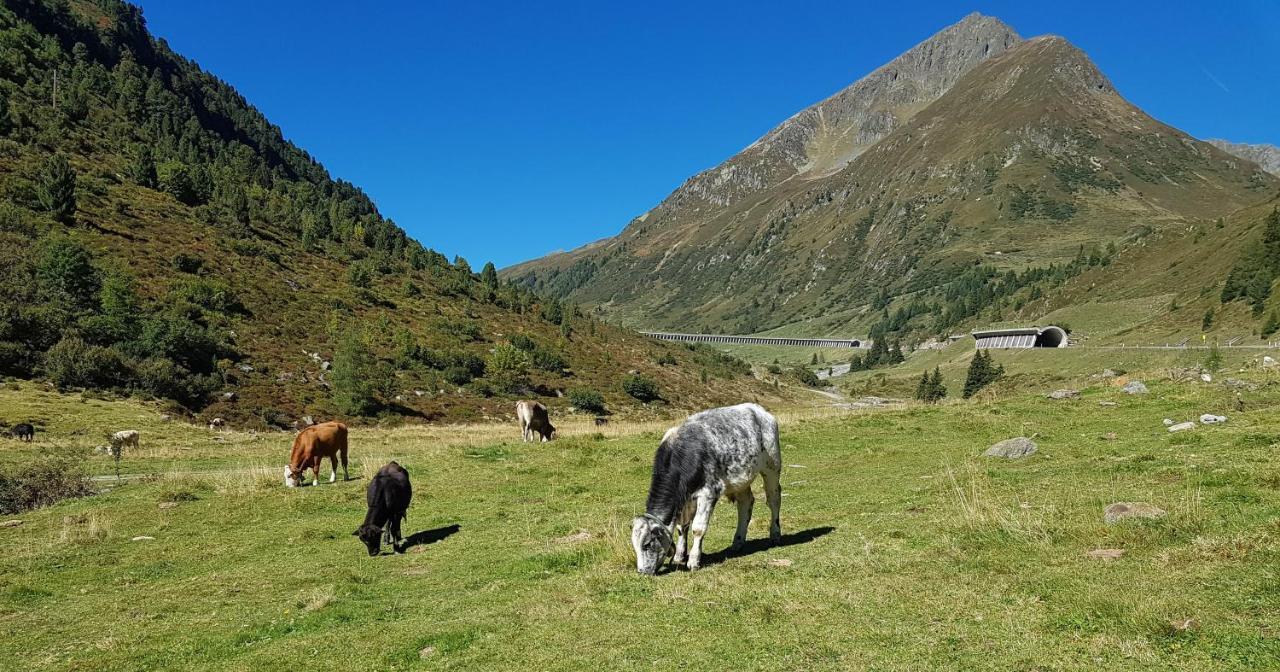 Pension Alpenrose Sankt Sigmund im Sellrain Luaran gambar