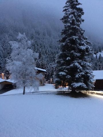 Pension Alpenrose Sankt Sigmund im Sellrain Luaran gambar
